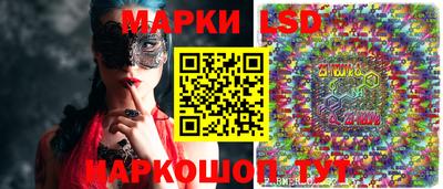 гидропоника Новозыбков