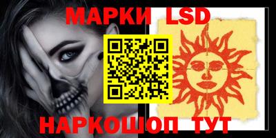 гидропоника Новозыбков