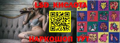 стаф Нальчик