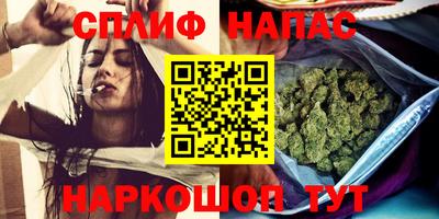 тгк Новодвинск