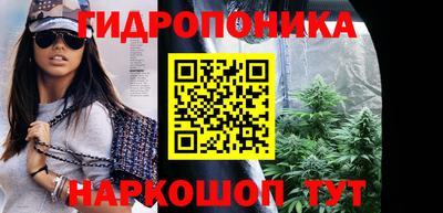 тгк Новодвинск