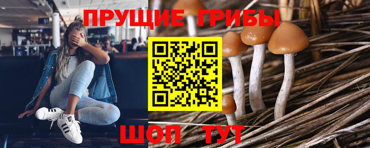 Галлюциногенные грибы мухоморы Усолье-Сибирское
