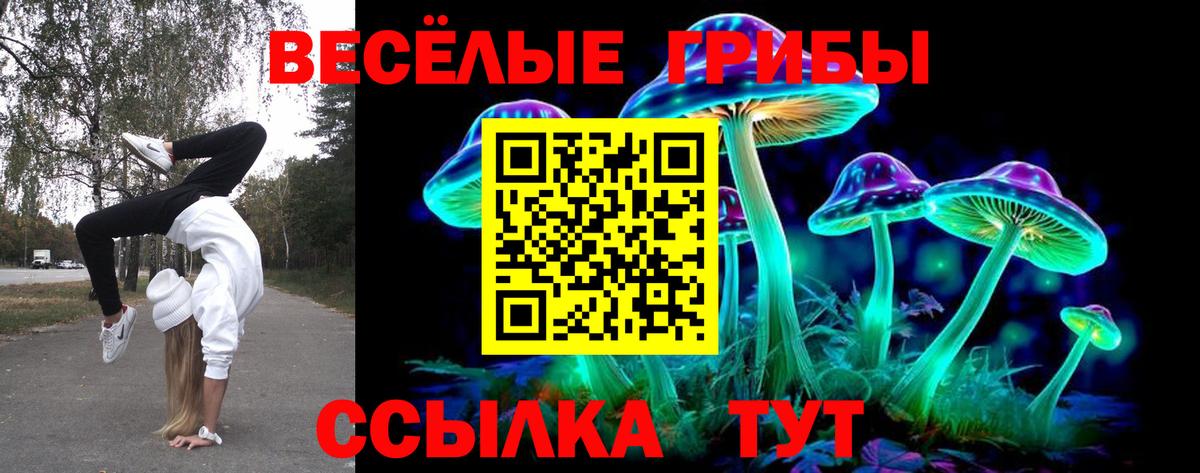 Псилоцибиновые грибы прущие грибы  Вход с VPN  купить  сайты  Усолье-Сибирское 